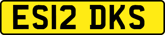 ES12DKS
