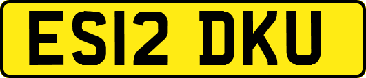 ES12DKU
