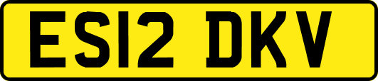 ES12DKV
