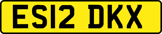 ES12DKX