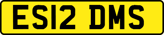 ES12DMS