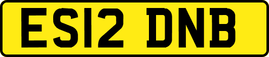ES12DNB