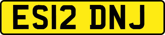 ES12DNJ
