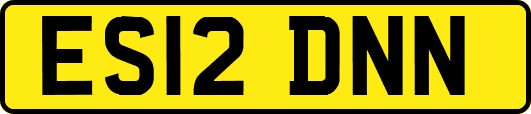 ES12DNN