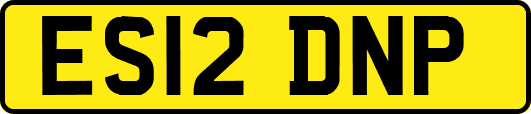ES12DNP