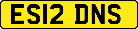 ES12DNS