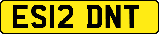 ES12DNT