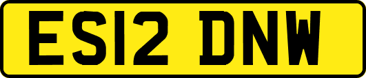 ES12DNW