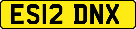 ES12DNX