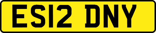 ES12DNY