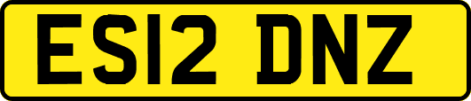 ES12DNZ