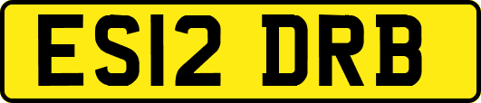 ES12DRB