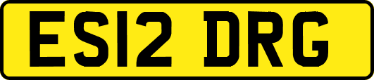 ES12DRG