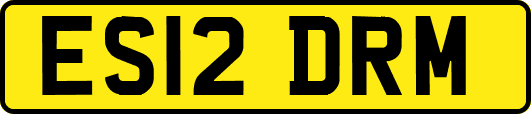 ES12DRM