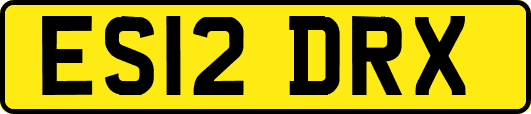 ES12DRX