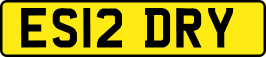 ES12DRY
