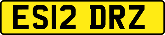ES12DRZ