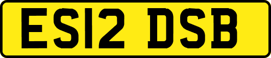 ES12DSB