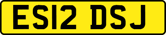 ES12DSJ