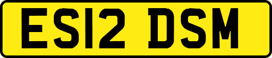 ES12DSM