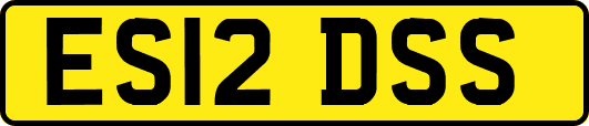 ES12DSS