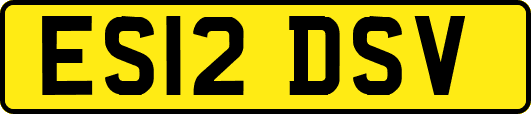 ES12DSV
