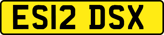 ES12DSX