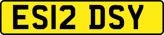 ES12DSY