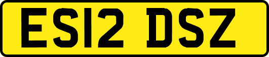ES12DSZ