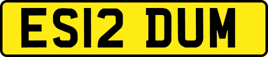 ES12DUM