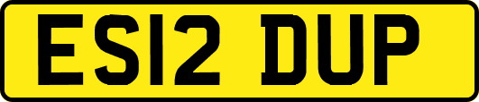 ES12DUP