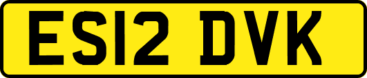 ES12DVK