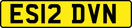 ES12DVN