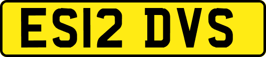 ES12DVS