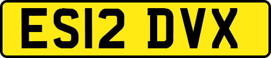ES12DVX