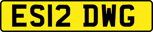 ES12DWG