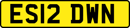 ES12DWN