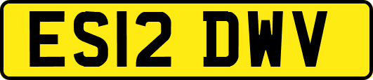ES12DWV