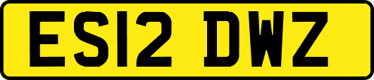 ES12DWZ