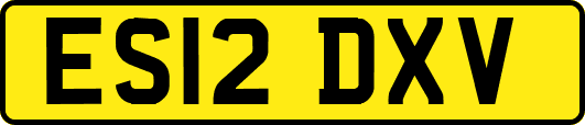 ES12DXV