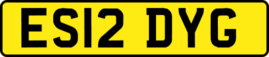 ES12DYG