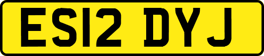 ES12DYJ