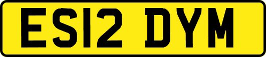 ES12DYM