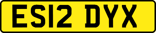 ES12DYX