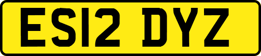 ES12DYZ
