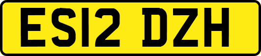 ES12DZH