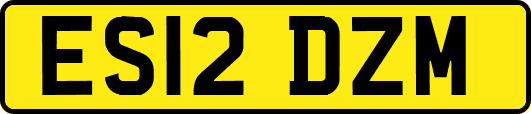 ES12DZM