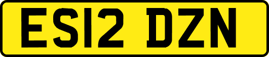 ES12DZN