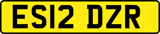 ES12DZR