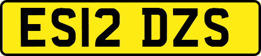 ES12DZS
